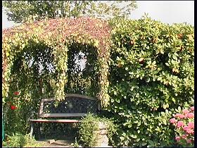 GarHel005