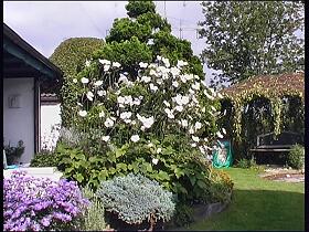 GarHel009