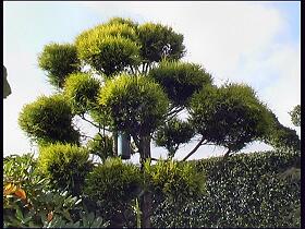 GarHel017