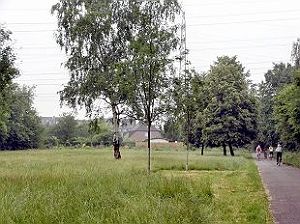 K-LW016k