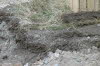 MBH2019-038