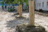 MBH2019-044